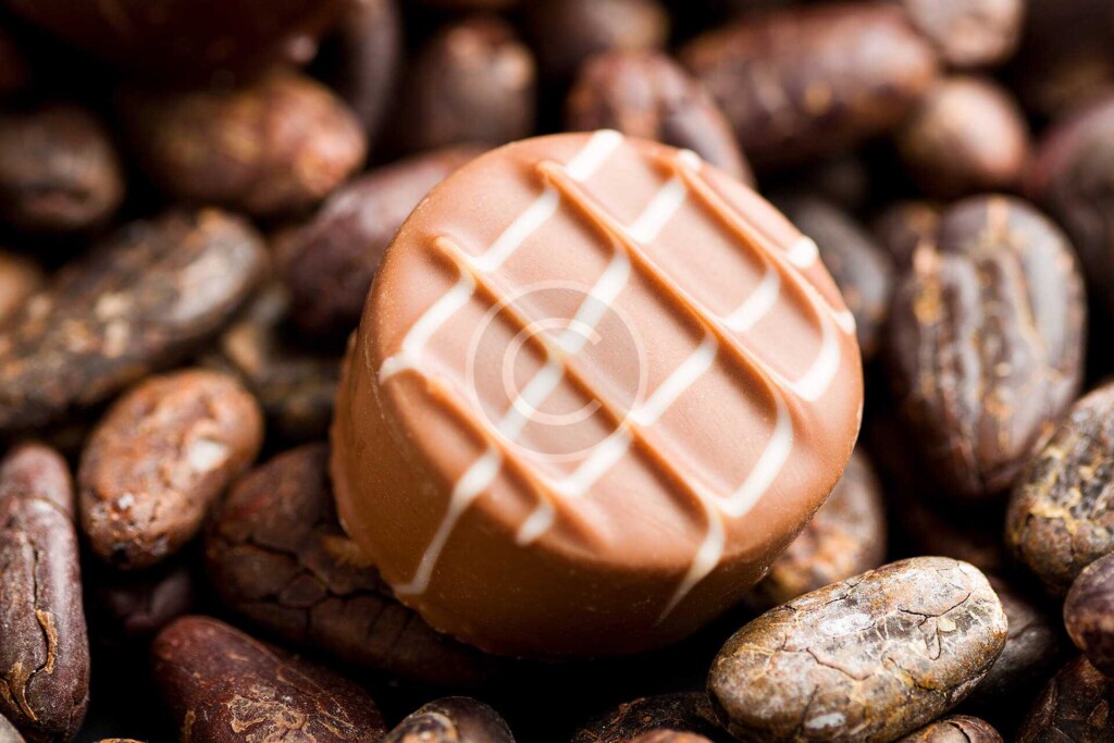 Post 5 Copyright 1024x683