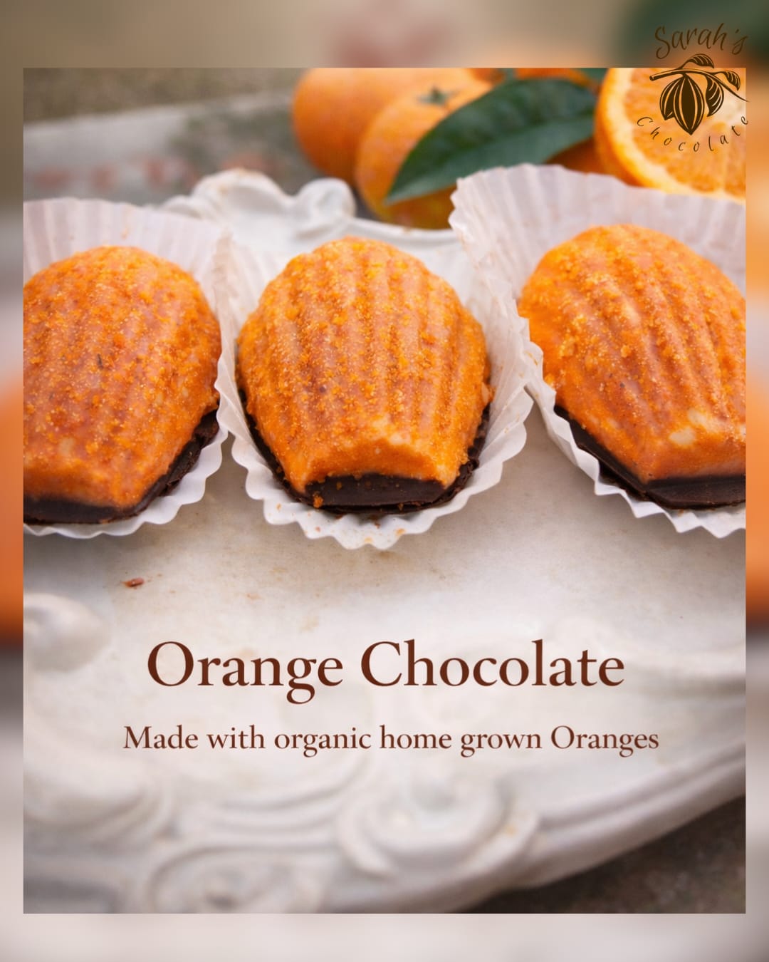 whatsapp image 2026 03 11 at 1.52.18 pm (9)