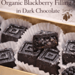 Blackberry bites